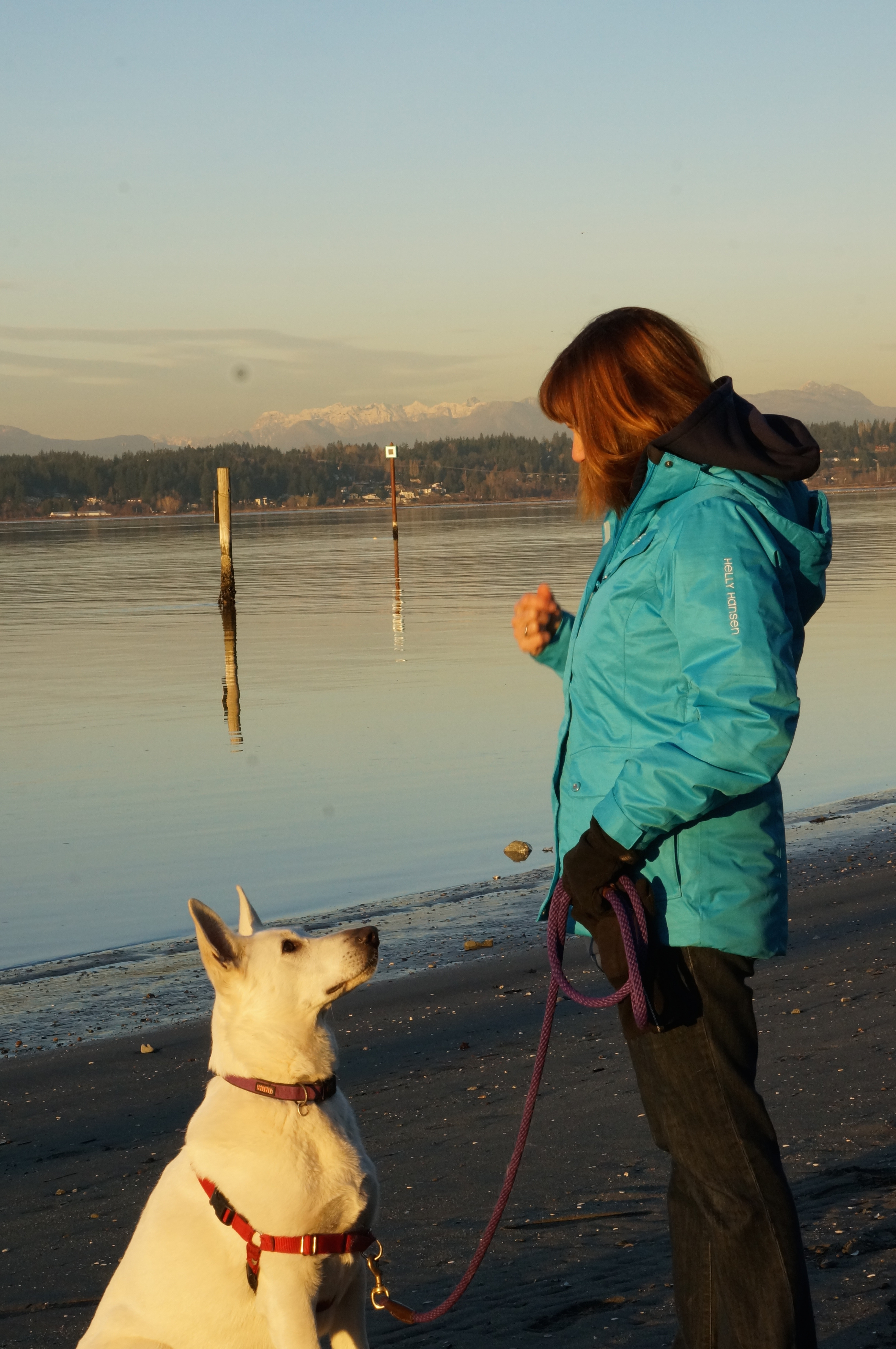 About Bonnie CTC Ocean Park Dog Training in Surrey, BC